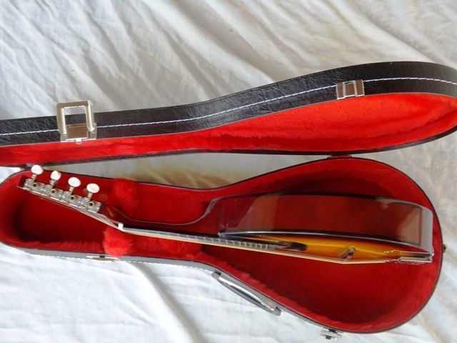 Bandolim sunburst e estojo novos