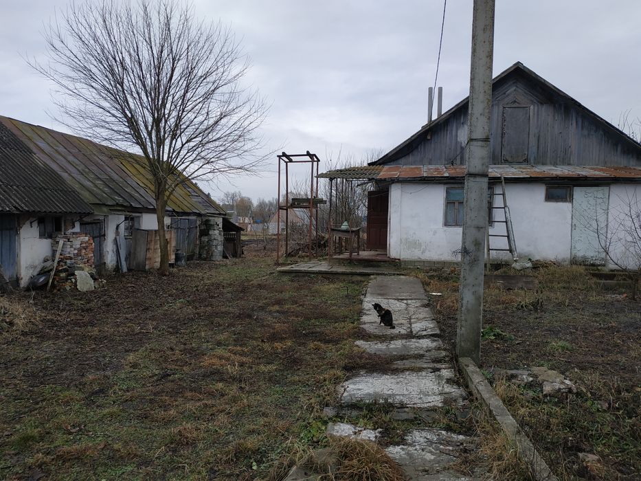 Частный дом с землей