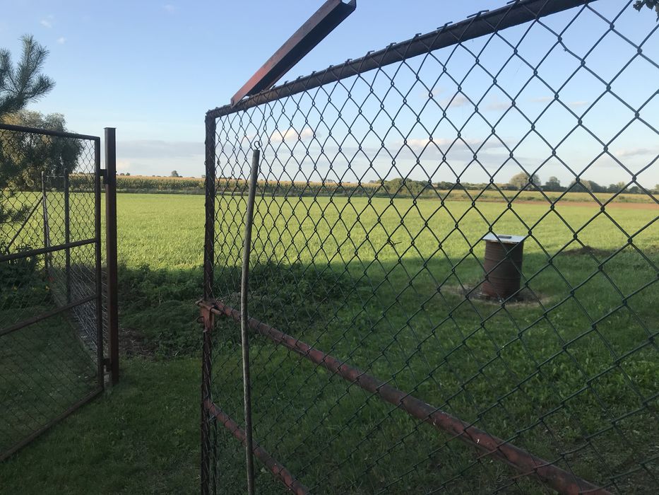 Dom, stajnia i duża działka 1,4 h. Blisko Poznania