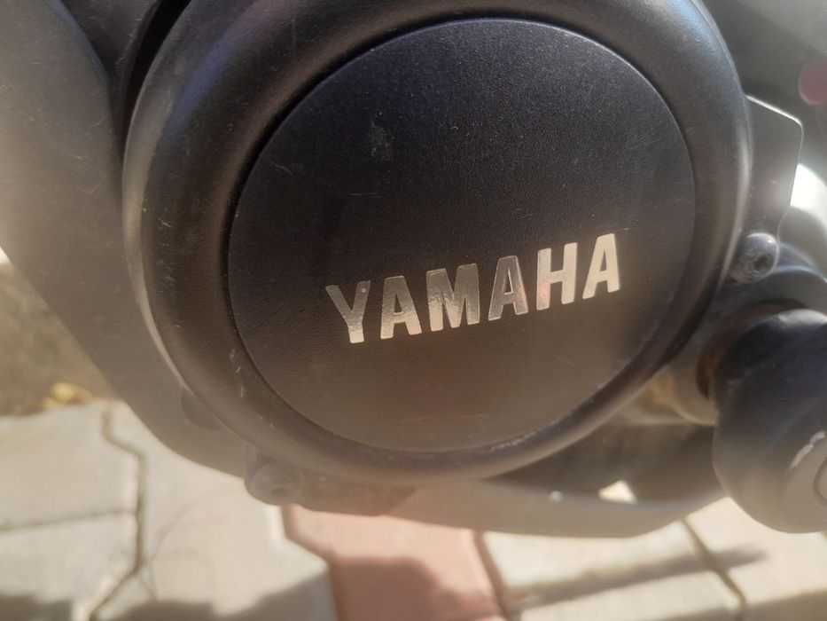 Bergamont на bocsh