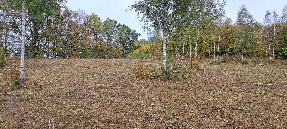 Koszenie nieużytków kosiarką bijakową  kosiarka bikakowa