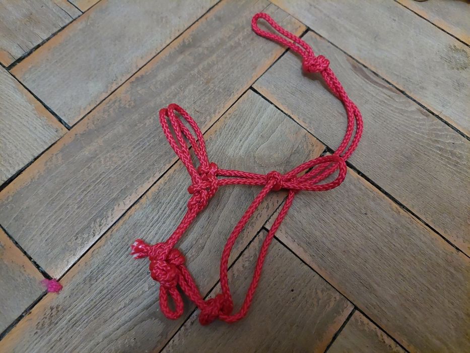 Halter hobby horse 1 szt