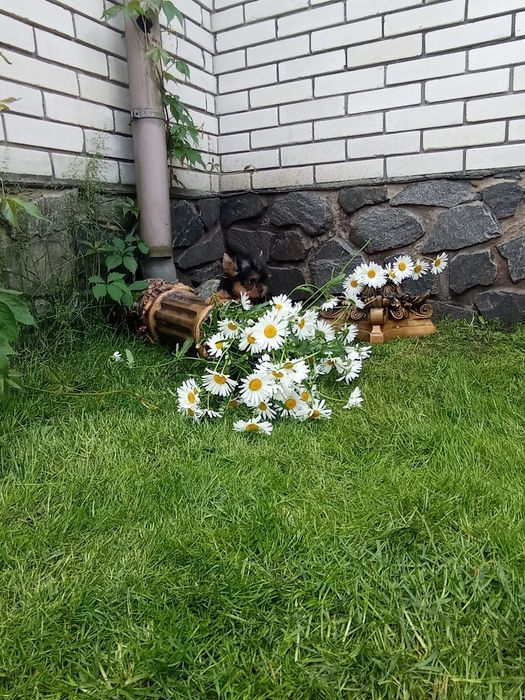 Чарівні малюки 3 міс.