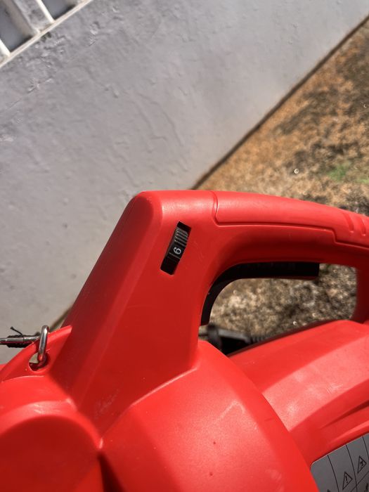 Aspirador/soprador de folhas einhell