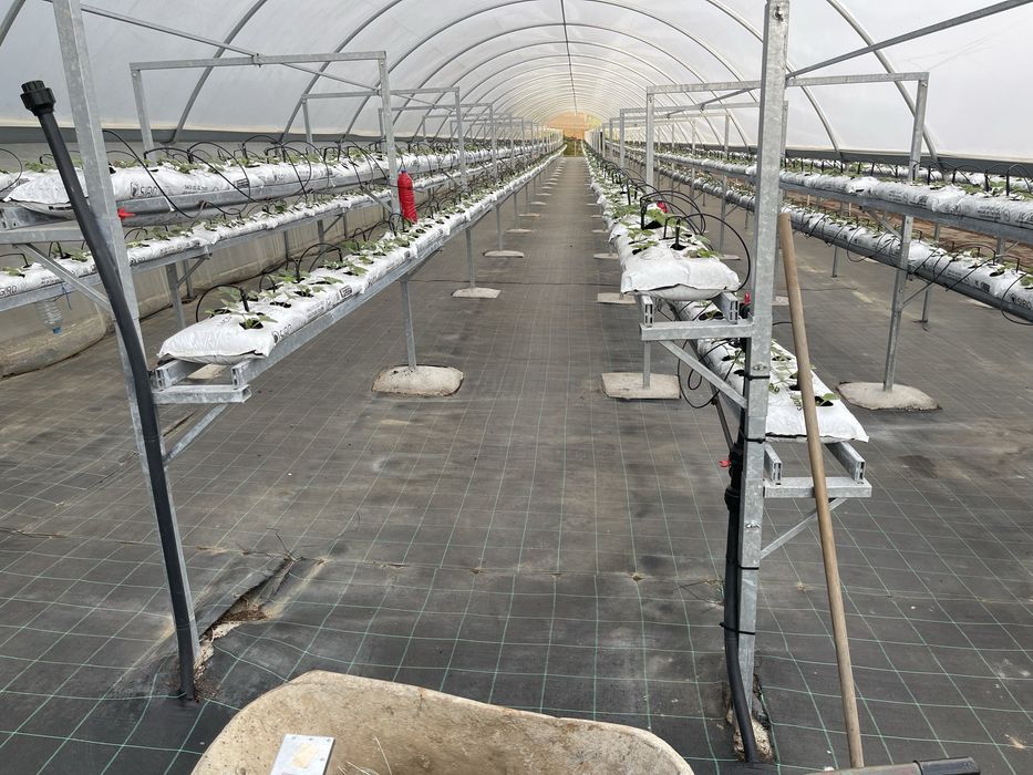 Vendo Estrutura Aço Galvanizado