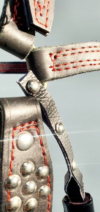 Наголовник на коня з китечками