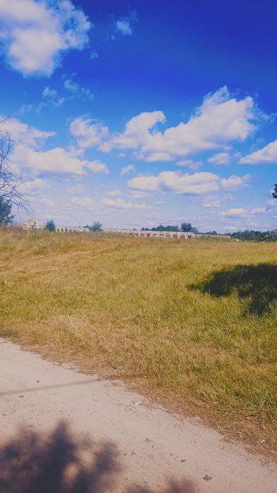 Продам приміщення 200 кВ та земельну ділянку 2,5 ГА в Літочках