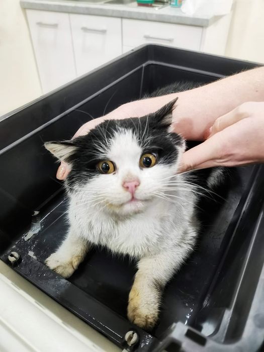 Urocza Mila szuka miłości