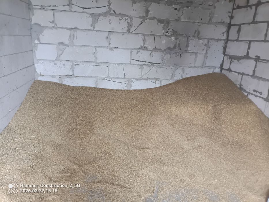 Jenczmien ozimy około 2t