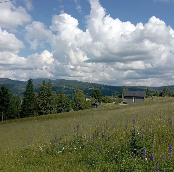 Земля Славське Карпати 14 сот.