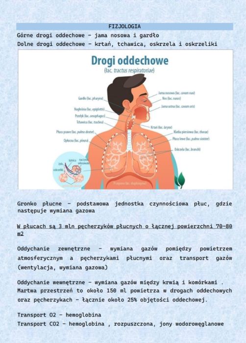 Pielęgniarstwo internistyczne / wewnętrzne - szczegółowe notatki