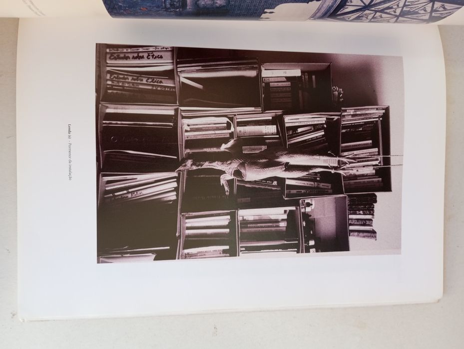 13 Artistas Portugueses Contemporâneos