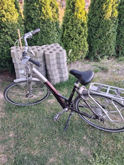 Rower holenderski