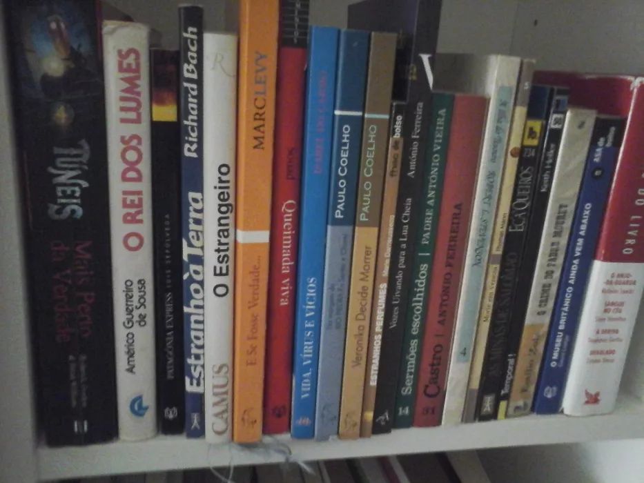 VENDIDOS EM SEPARADO - Livros Baratos - Entrega IMEDIATA - Lote 22 PS