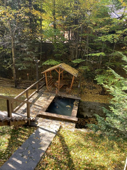 Будинок в Карпатах зелена садиба