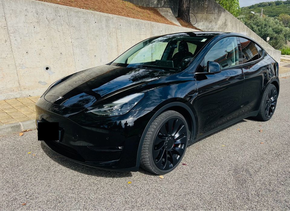 Tesla Y Performance