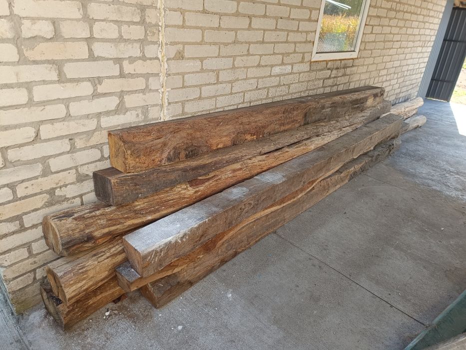 Дуб,дубові лігари