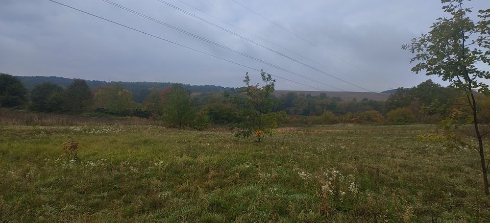 Земельна ділянка с. Береги