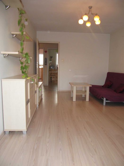 Mieszkanie 2-pokojowe do wynajęcia