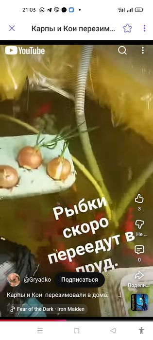 Аквариум узк ёмкость резервуар для рыб воды креветок раков