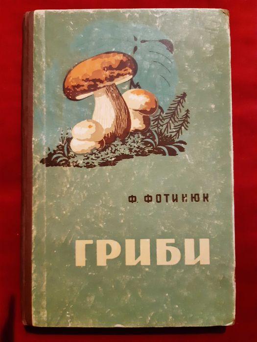 Гриби. Ф. Фотинюк.