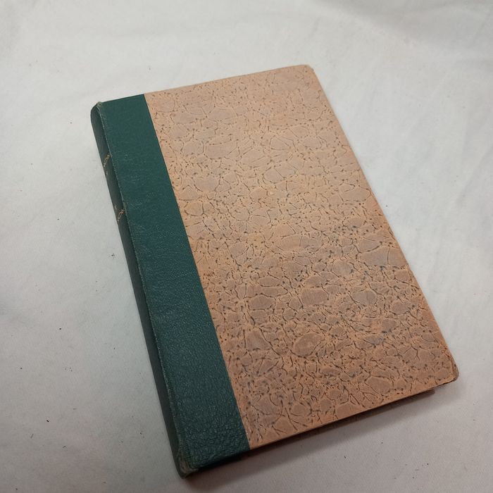 Romance "A Voragem "