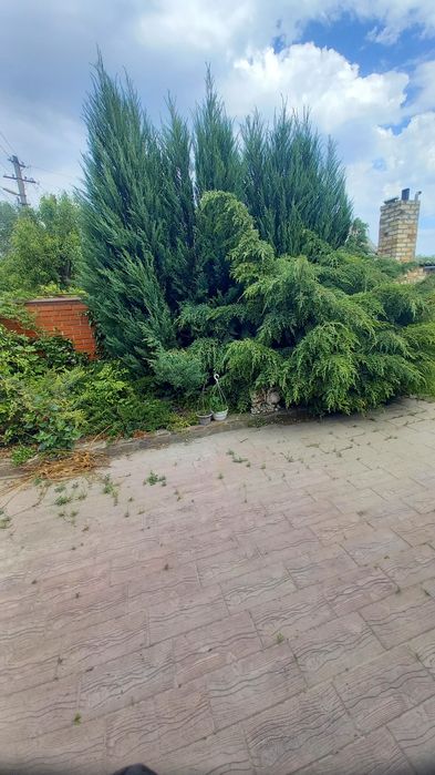 Продам дом в краснополье