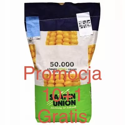 Kukurydza Saaten Union  subito Alabama Sudorus 10 +1 gratis