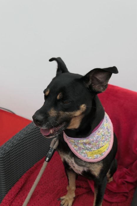 Vivi 8 anos fechada. Libertaram me