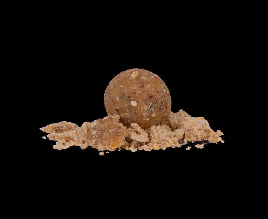 Kulki Avid Carp NUT Boilies  5kg 20mm - ORZECH TYGRYSI - PISTACJA