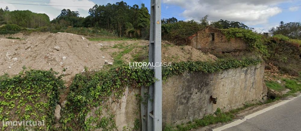 Terreno | Angeja | Albergaria-A-Velha