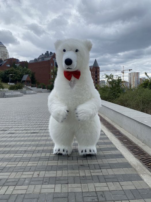 Поздравления от Белого Медведя. Привітання. Ведмедик. Білий ведмедик.