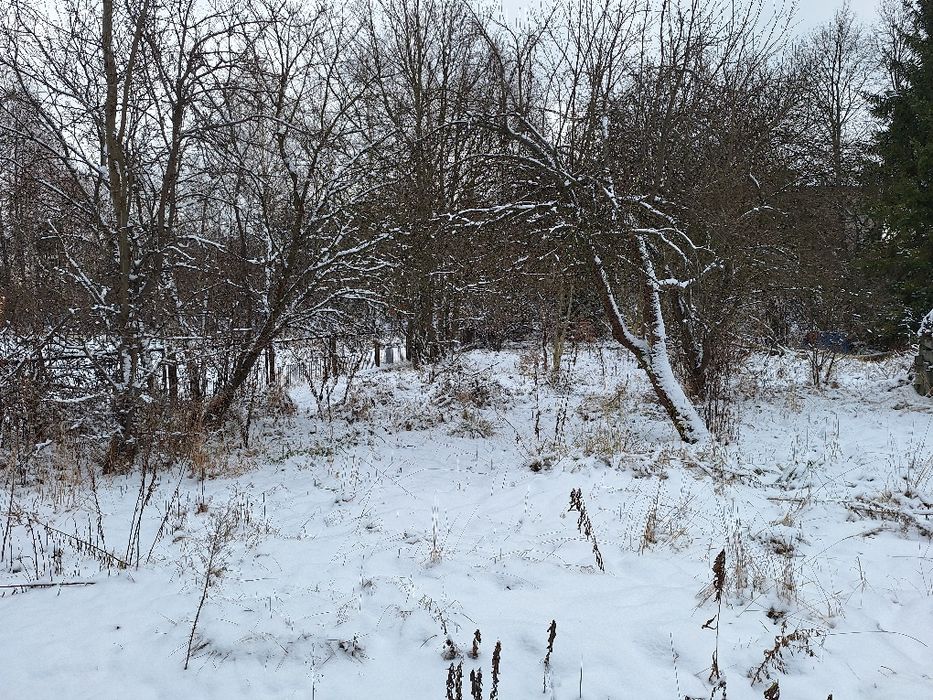 Poręba k/Zawiercia - wolnostojący parterowy dom z wysokim poddaszem