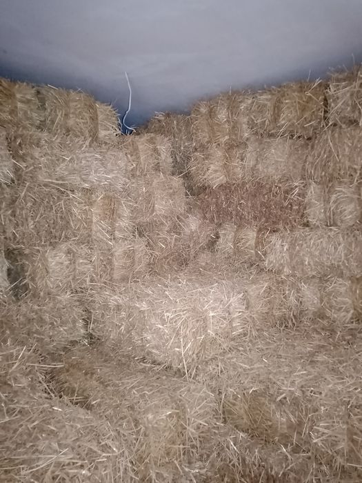 Сіно, солома свіже від реального продавця