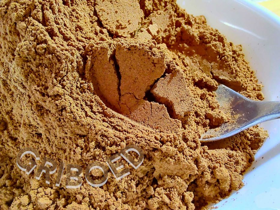 Гриб РЕЙШІ - 250 грам. Плодові тіла, перемелені на порошок.