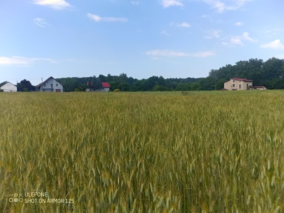 Ustronna 5 000 m², Marklowice Górne - Widok 4