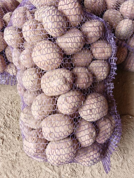 Ziemniaki Bellarosa