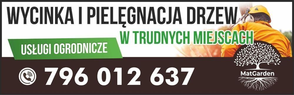 Wycinka i pielęgnacja drzew alpinistycznie regulacja tuii rębak