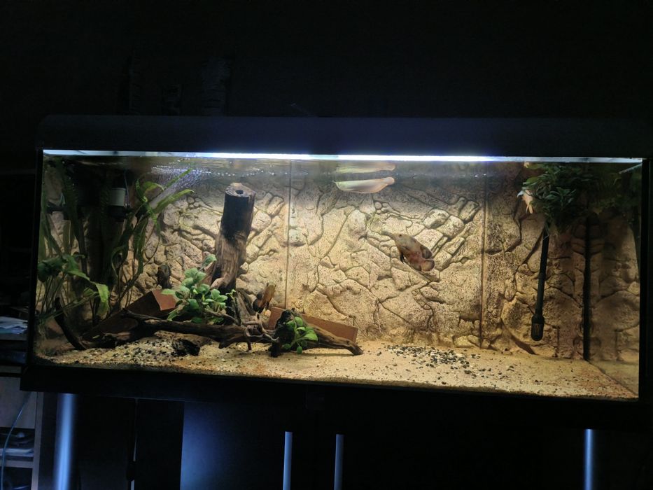 Sprzedam zestaw Diversa 450l