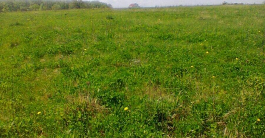 Участок земельный