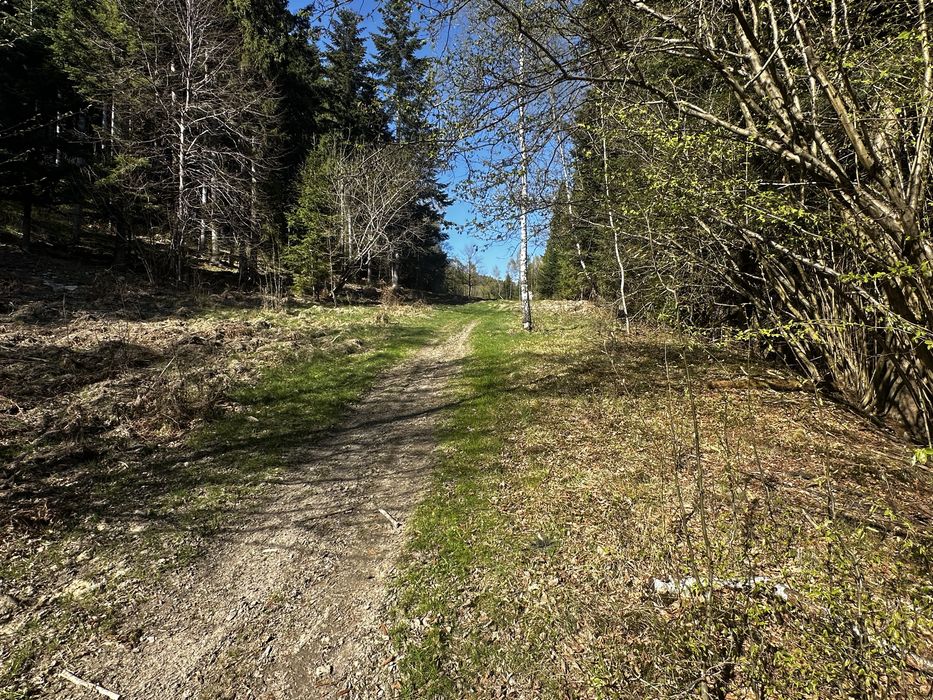 Dwie działki  rolne 43 ar