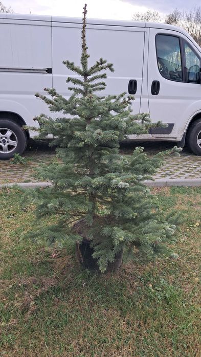 Fiat Ducato 130Multiget, L2H1 2013р