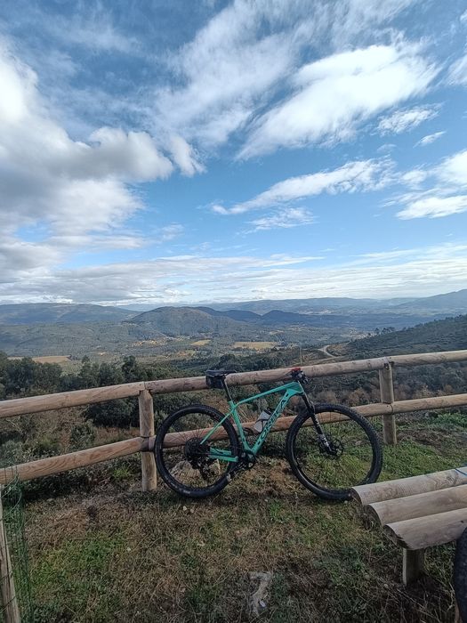 Rodas Campagnolo Bora One 50