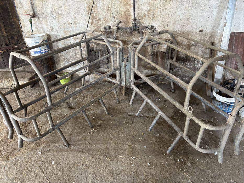 Kojec porodówka dla loch świń