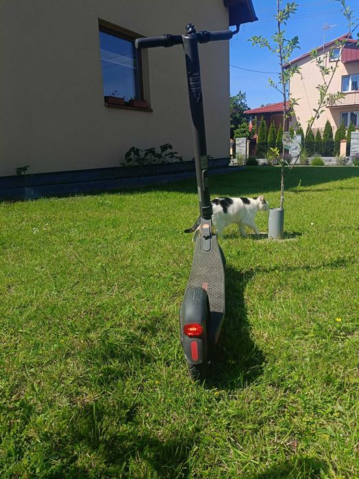 Hulajnoga elektryczna ninebot scooter E22E
