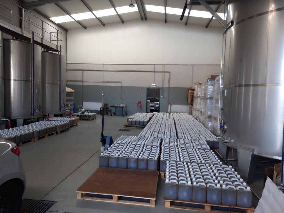 Azeite Novo Virgem Extra 0,2 acidez - Douro Vinhateiro