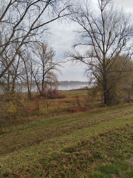 Siedlisko 10 ha nad Wisłą