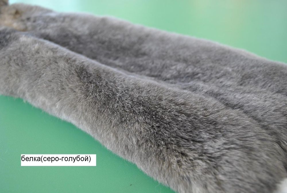 Мех кролика рекс. Шкурки