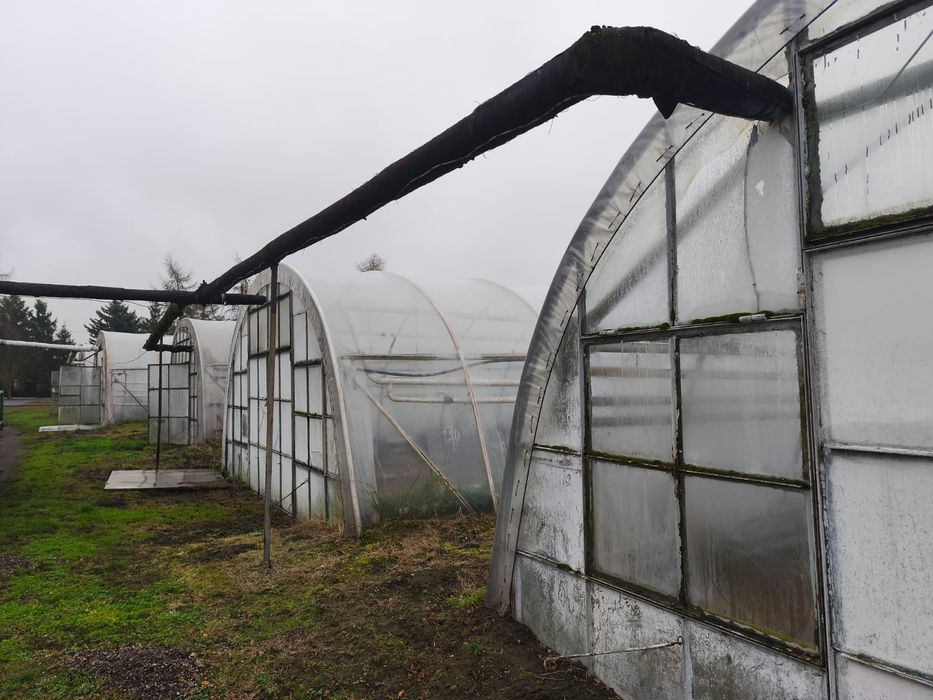 Sprzedam tunele foliowe