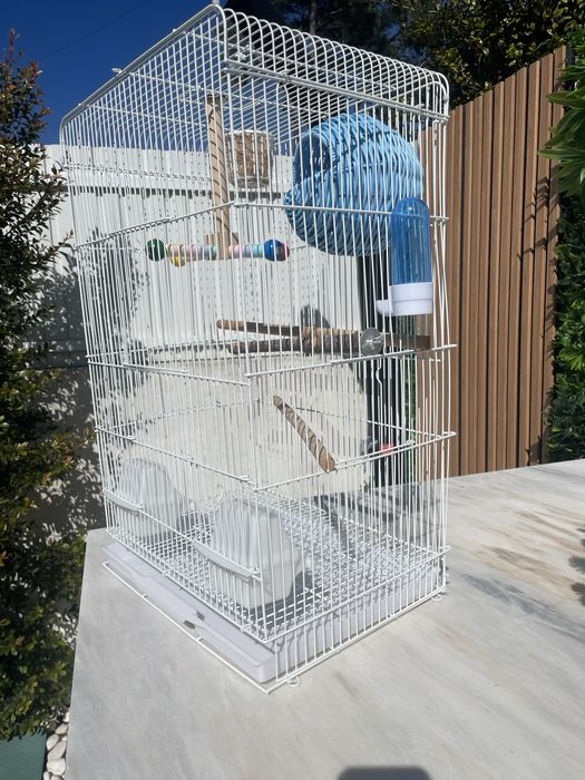 Gaiola com acessorios